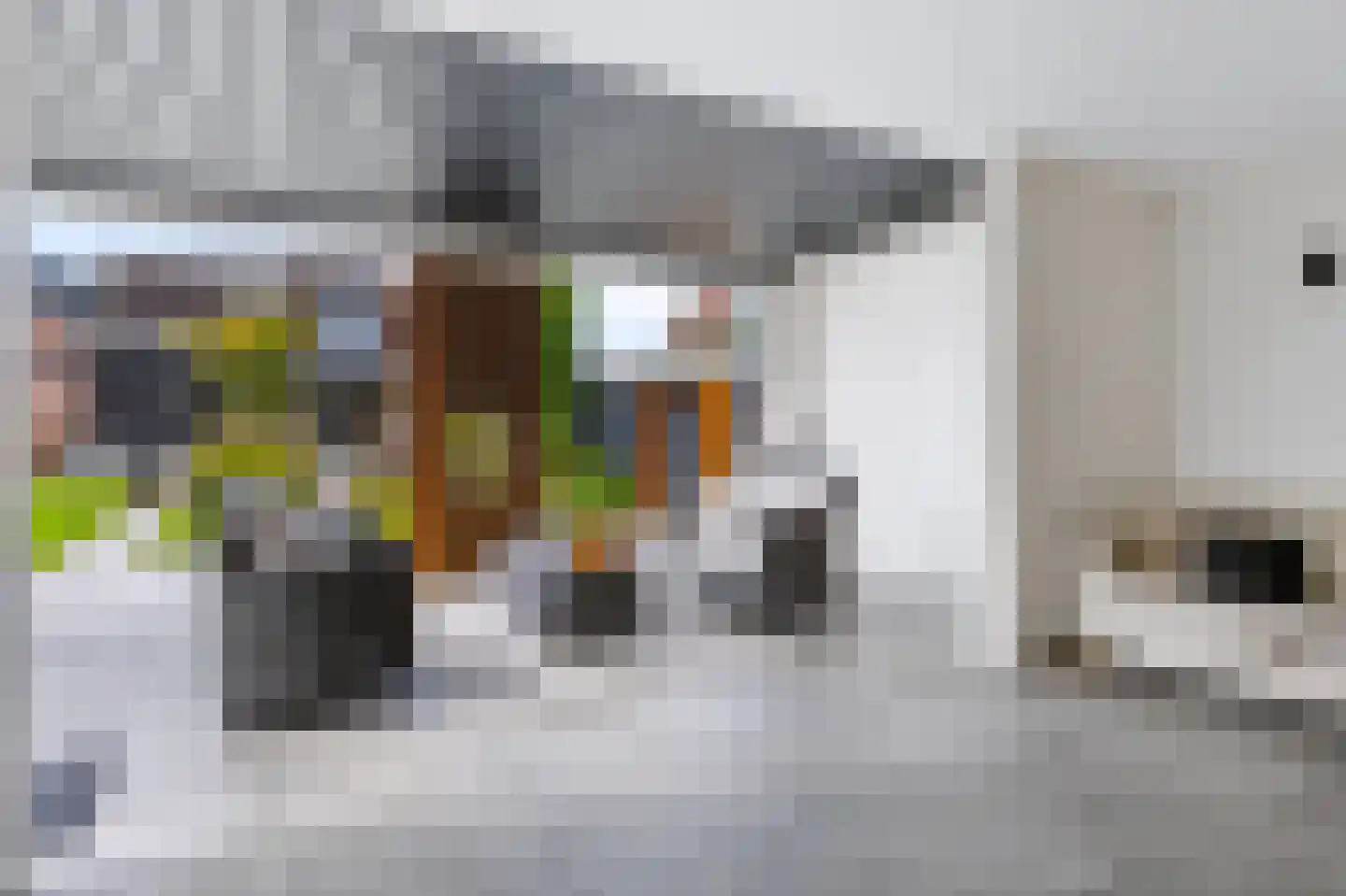 Rijssensestraat 161 Nijverdal thumbnail 52