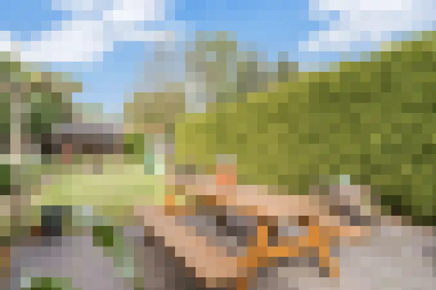 Rijssensestraat 180 a Nijverdal thumbnail 36