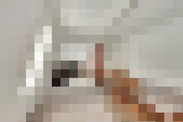 Rijssensestraat 3 Wierden thumbnail 28