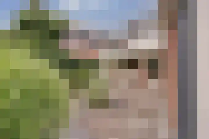 Rijssensestraat 3 Wierden thumbnail 32