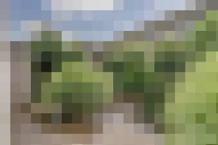 Rijssensestraat 3 Wierden thumbnail 34