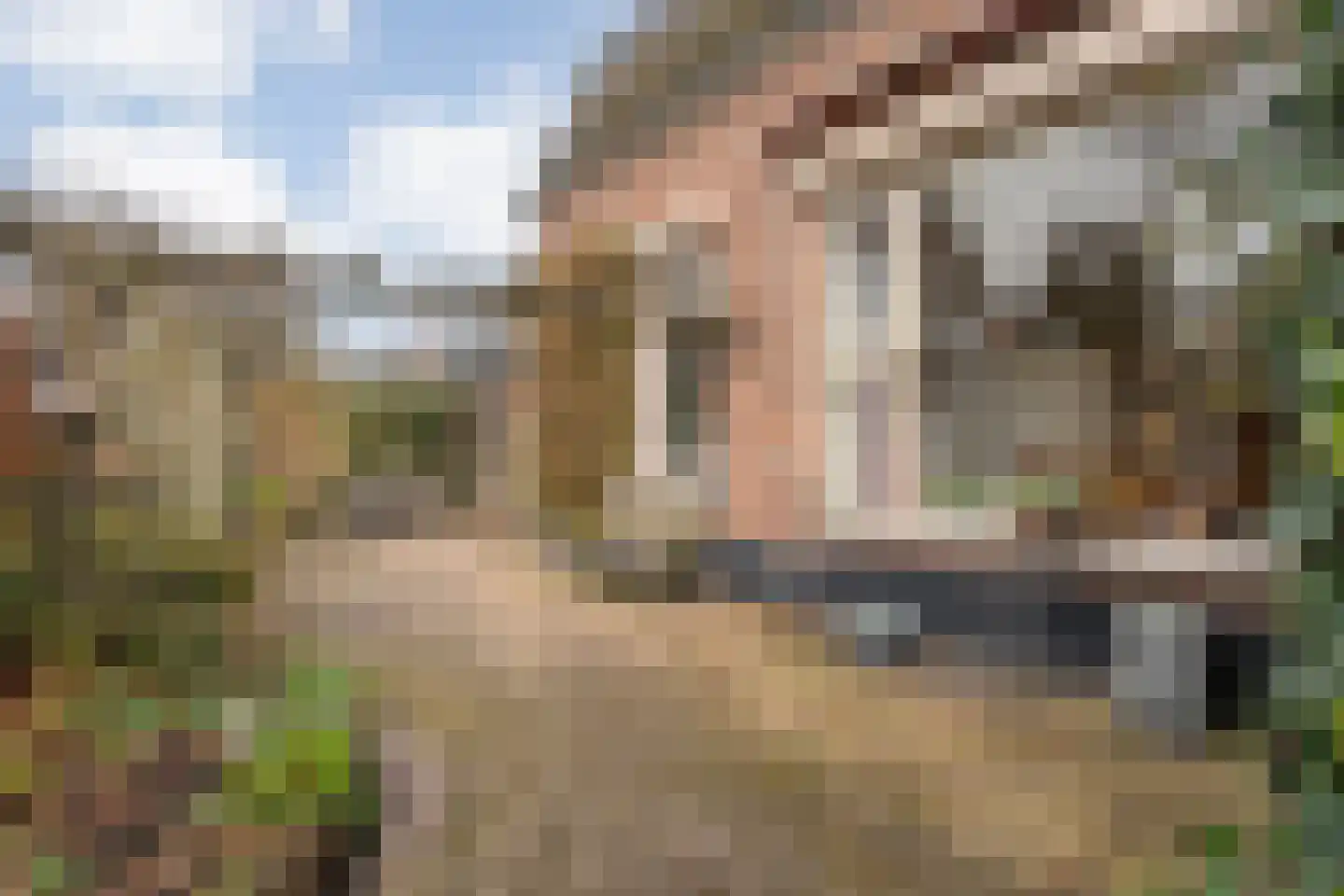 Rijssensestraat 48 Wierden thumbnail 25