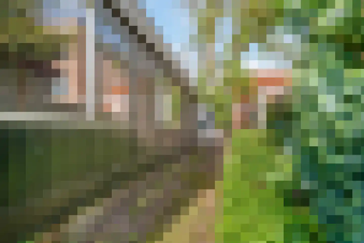 Rijssensestraat 55 Nijverdal thumbnail 30