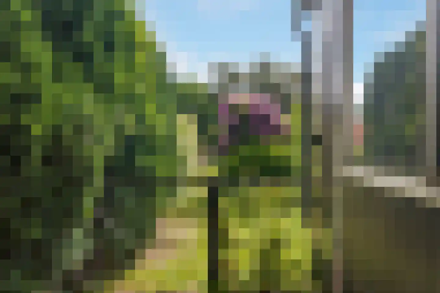 Rijssensestraat 55 Nijverdal thumbnail 31