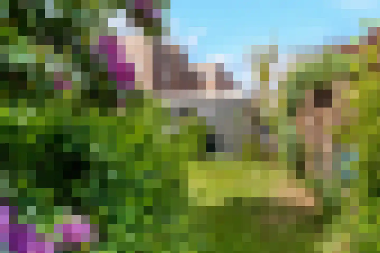 Rijssensestraat 55 Nijverdal thumbnail 32