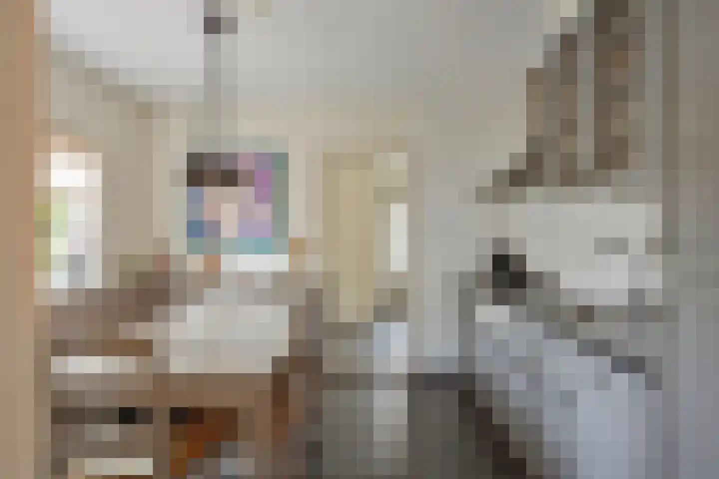 Rijssensestraat 57 Wierden thumbnail 16