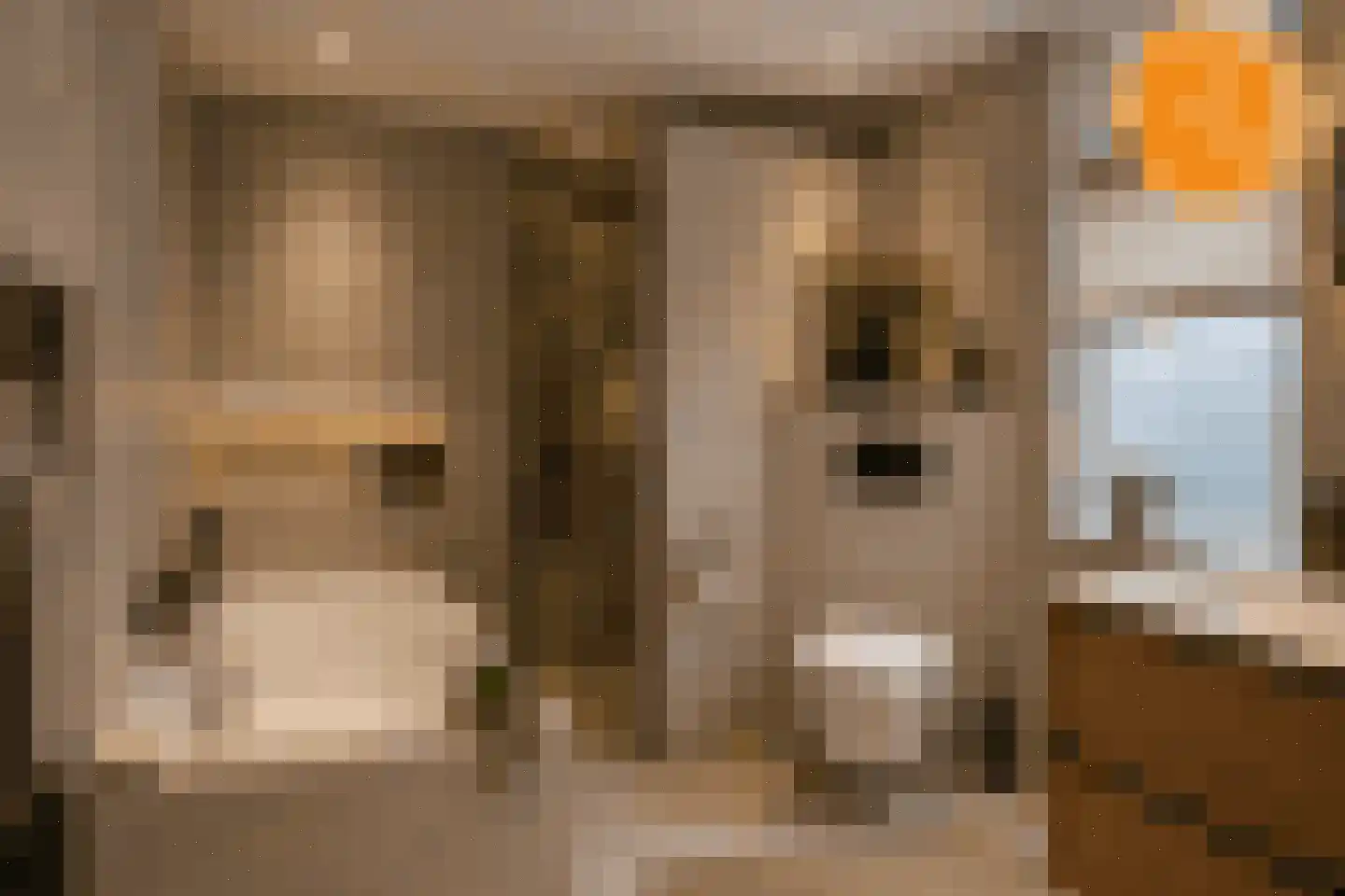Rijssensestraat 57 Wierden thumbnail 19