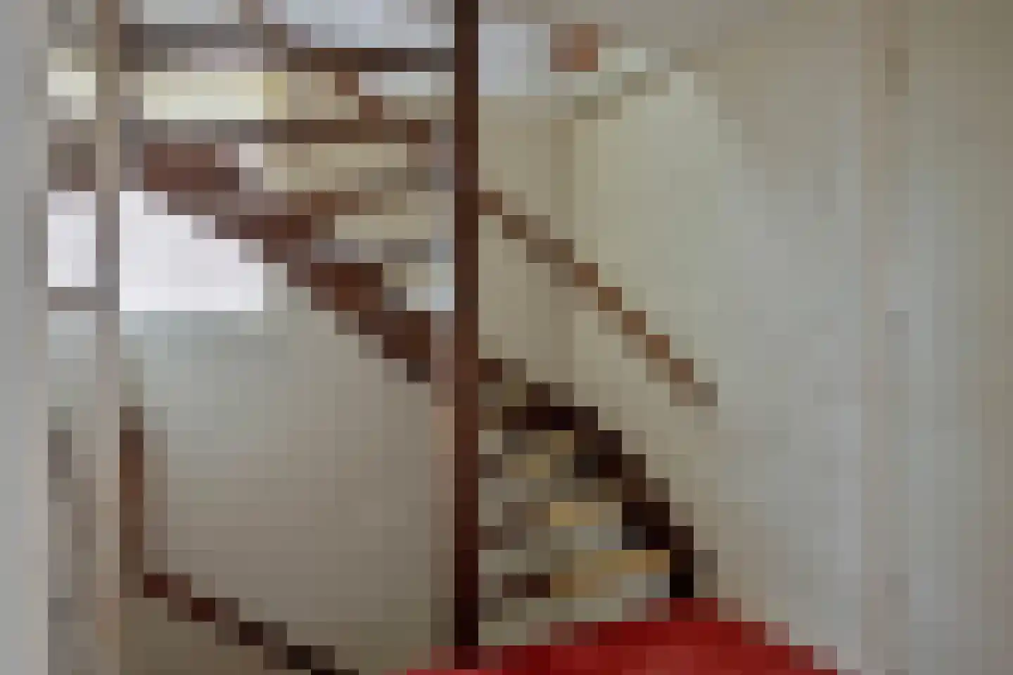 Rijssensestraat 57 Wierden thumbnail 28