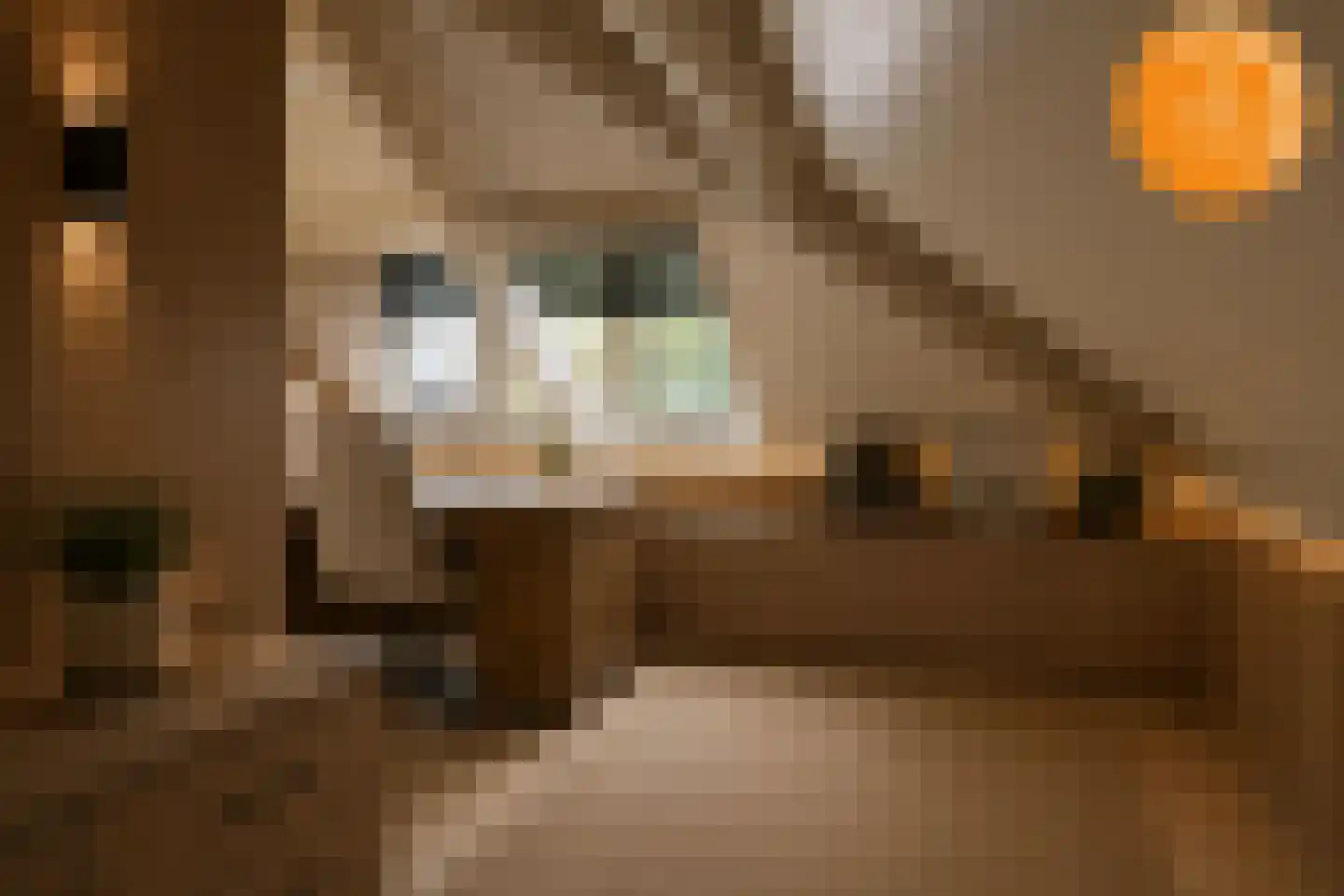 Rijssensestraat 57 Wierden thumbnail 32