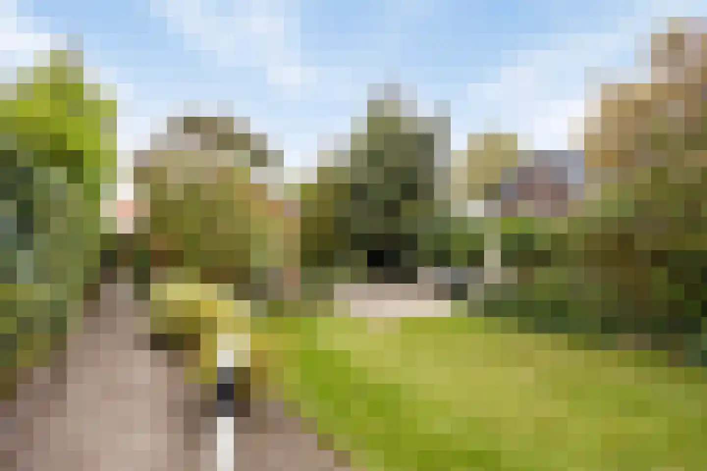 Rijssensestraat 57 Wierden thumbnail 33