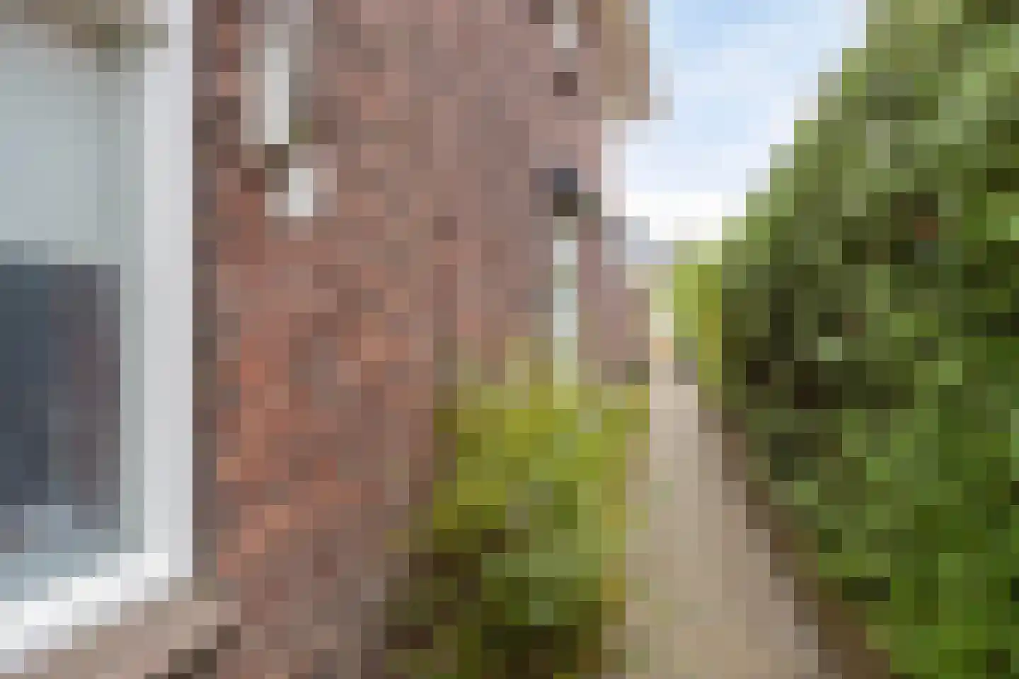 Rijssensestraat 57 Wierden thumbnail 37