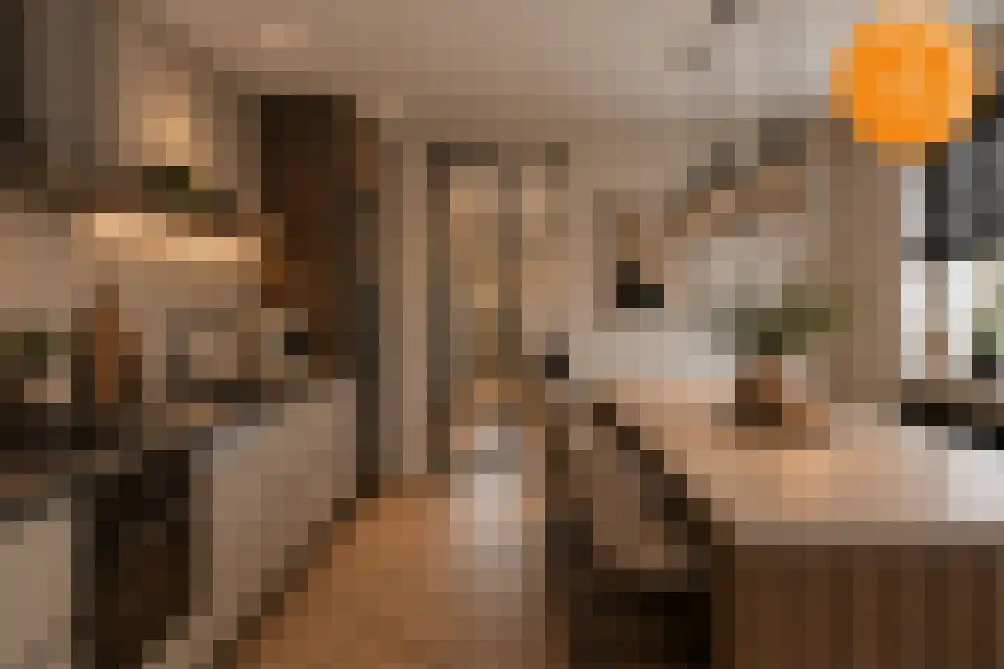 Rijssensestraat 57 Wierden thumbnail 4