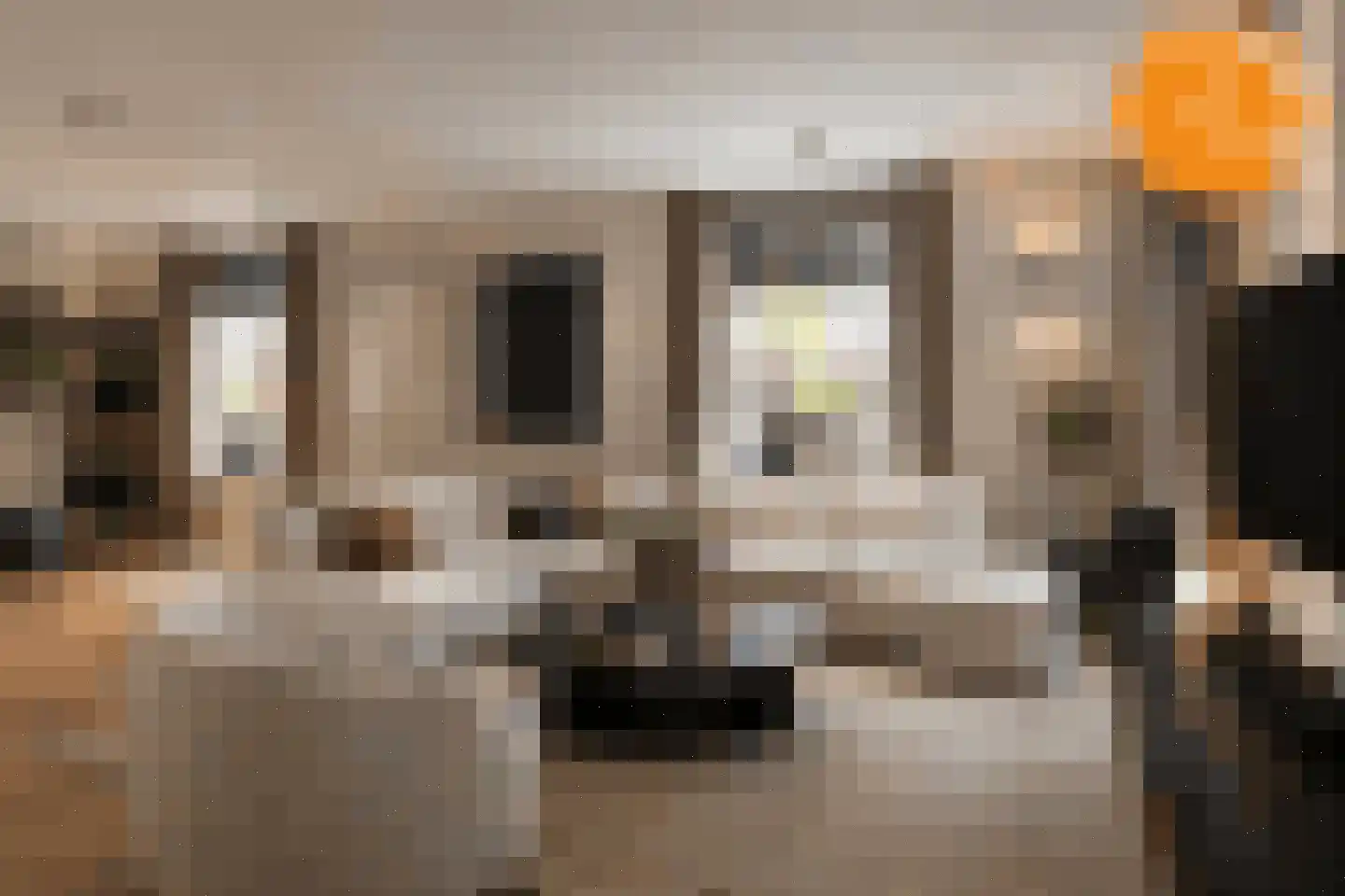 Rijssensestraat 57 Wierden thumbnail 4