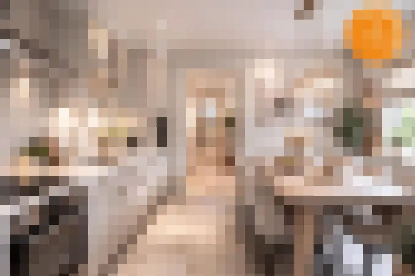 Rijssensestraat 57 Wierden thumbnail 5