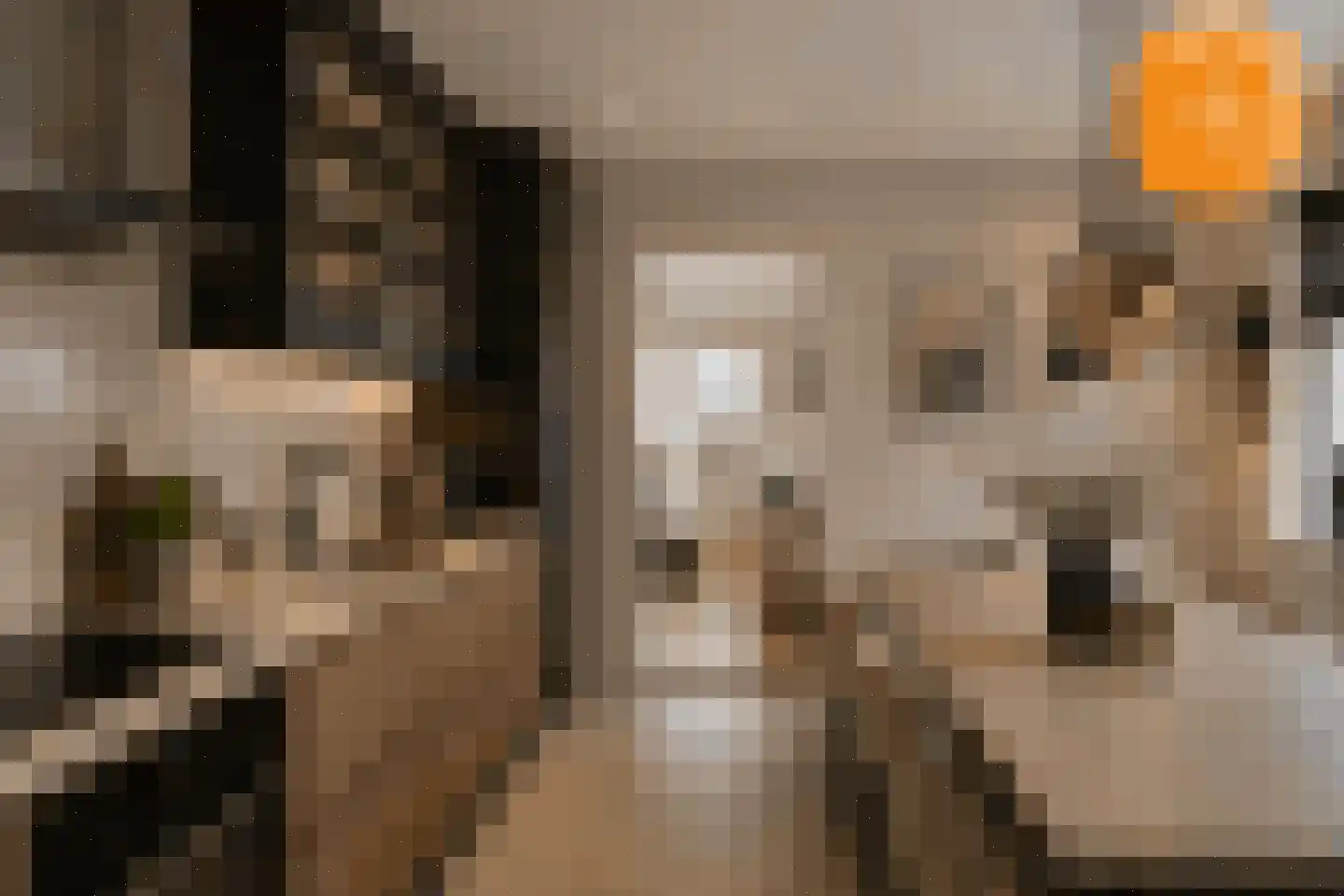 Rijssensestraat 57 Wierden thumbnail 6