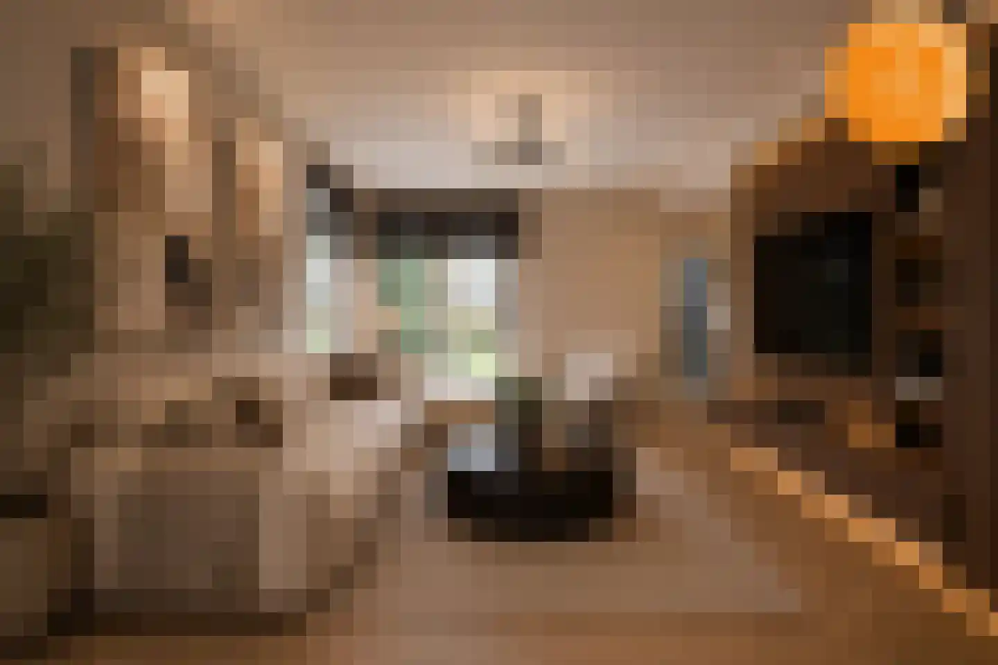 Rijssensestraat 57 Wierden thumbnail 8