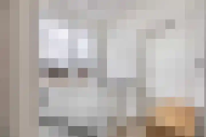 Rijssensestraat 61 a Nijverdal thumbnail 8