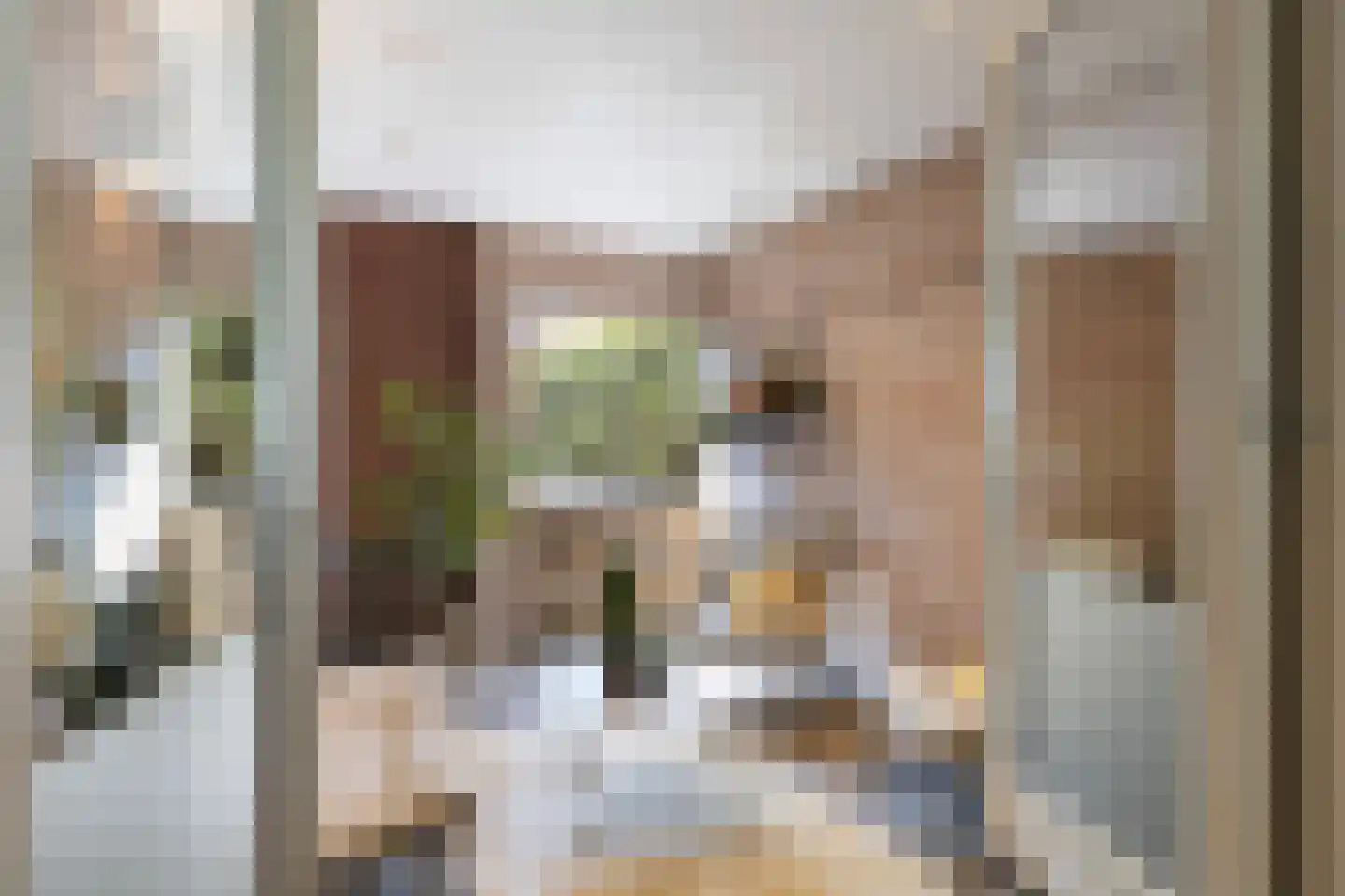 Rijssensestraat 80 01 Nijverdal thumbnail 29