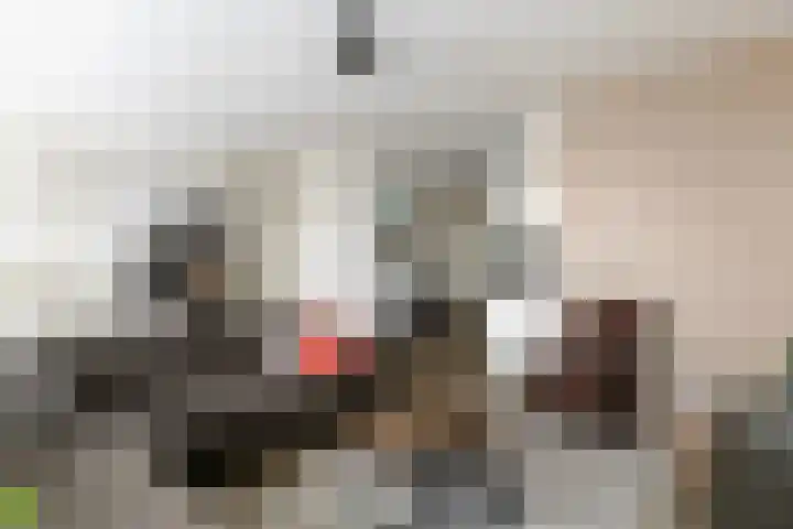 Rijssensestraat 94 b Nijverdal thumbnail 8