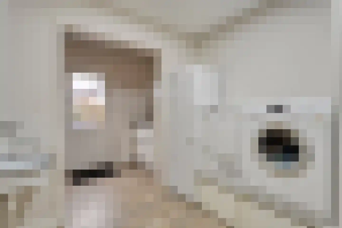 Rijssensestraat 96 Wierden thumbnail 20