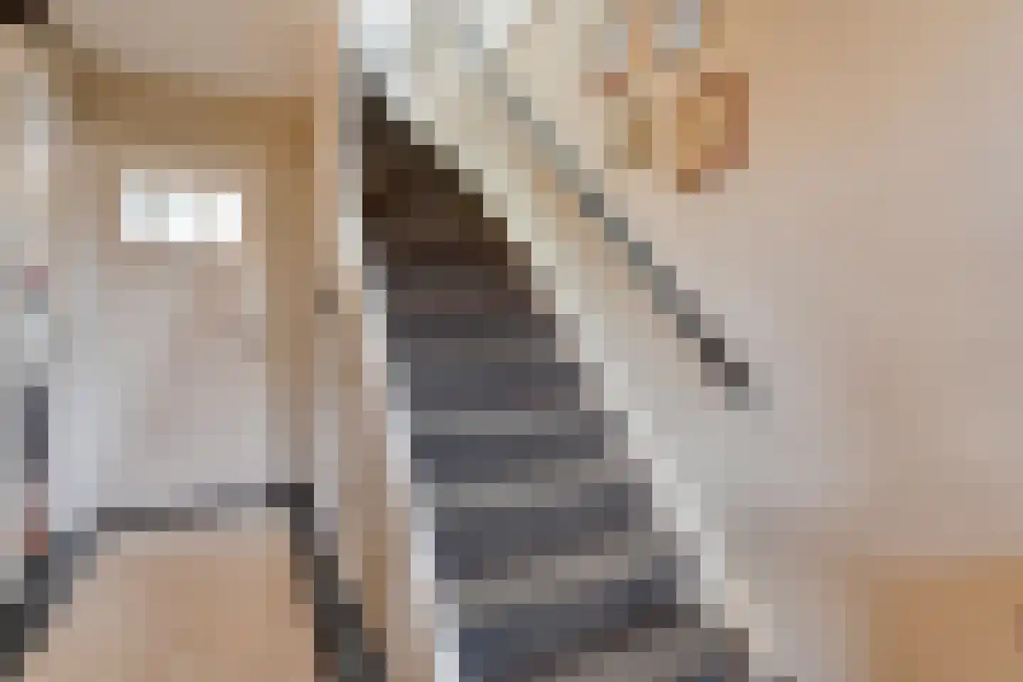 Rijssensestraat 96 Wierden thumbnail 26