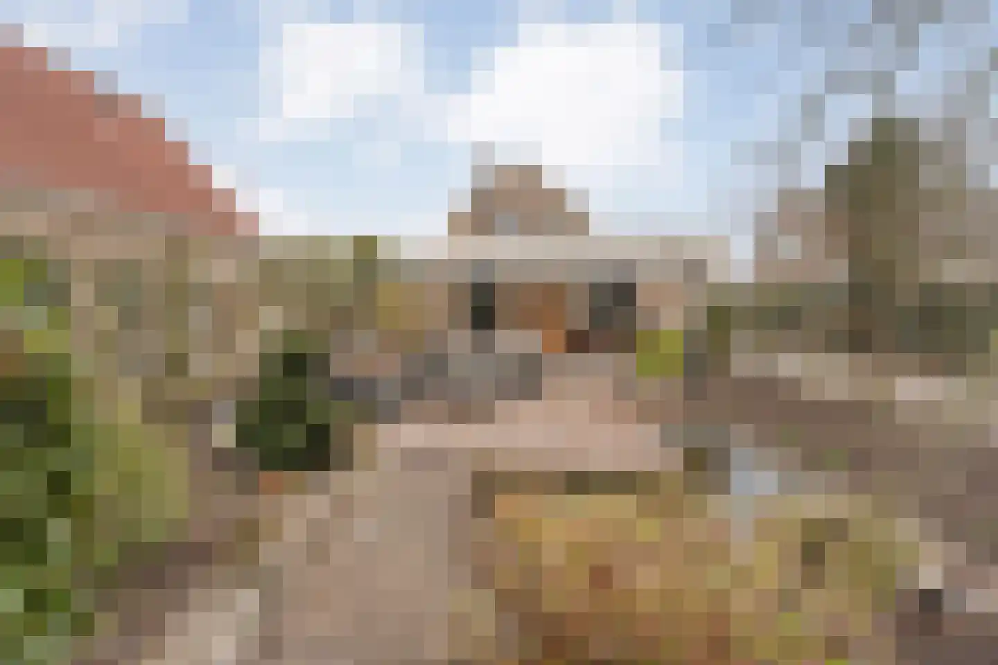 Rijssensestraat 96 Wierden thumbnail 39