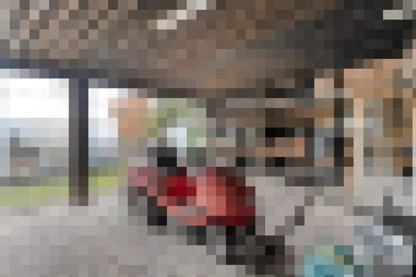 Rijssensestraat 96 Wierden thumbnail 47