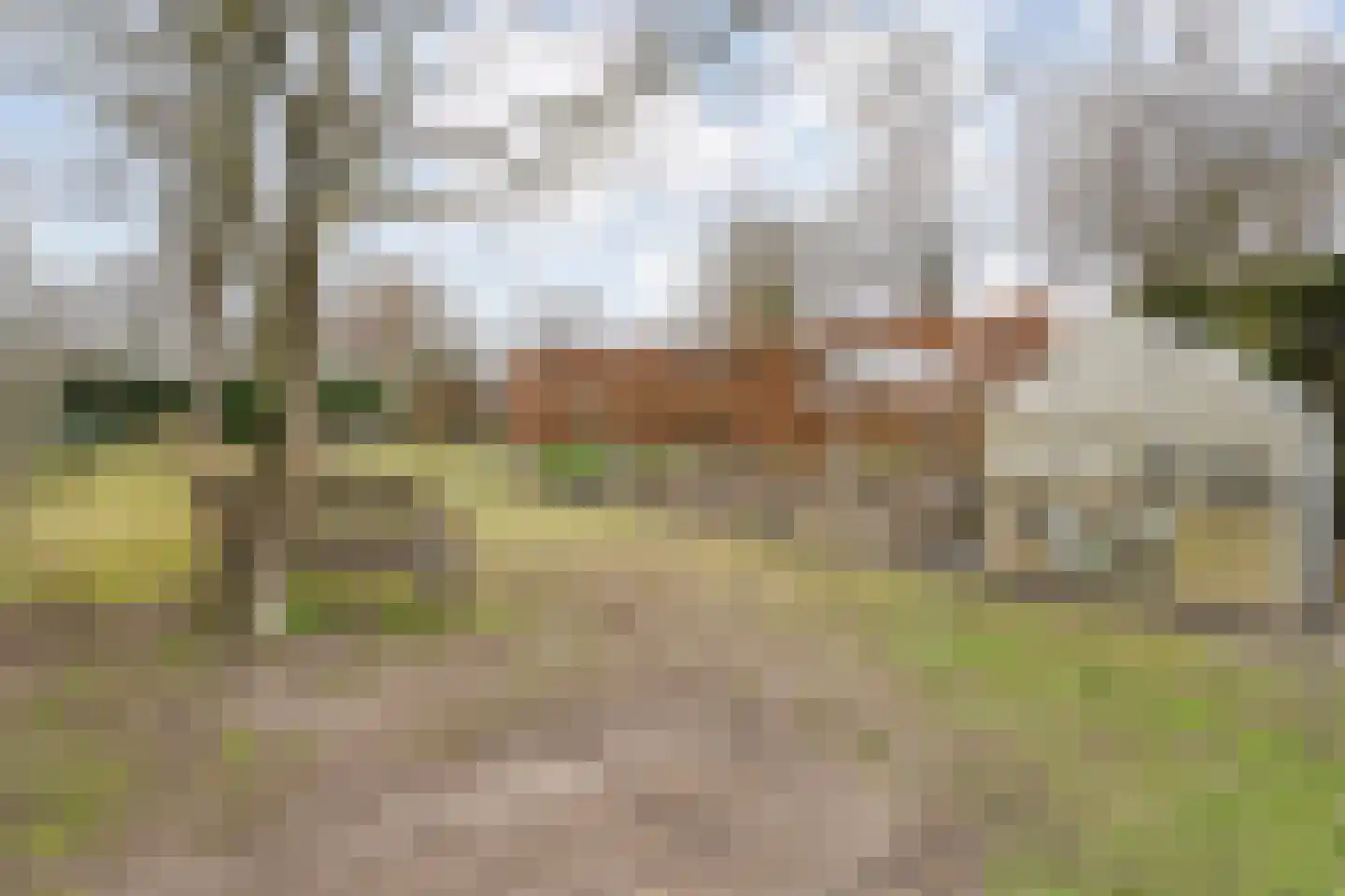 Rijssensestraat 96 Wierden thumbnail 49