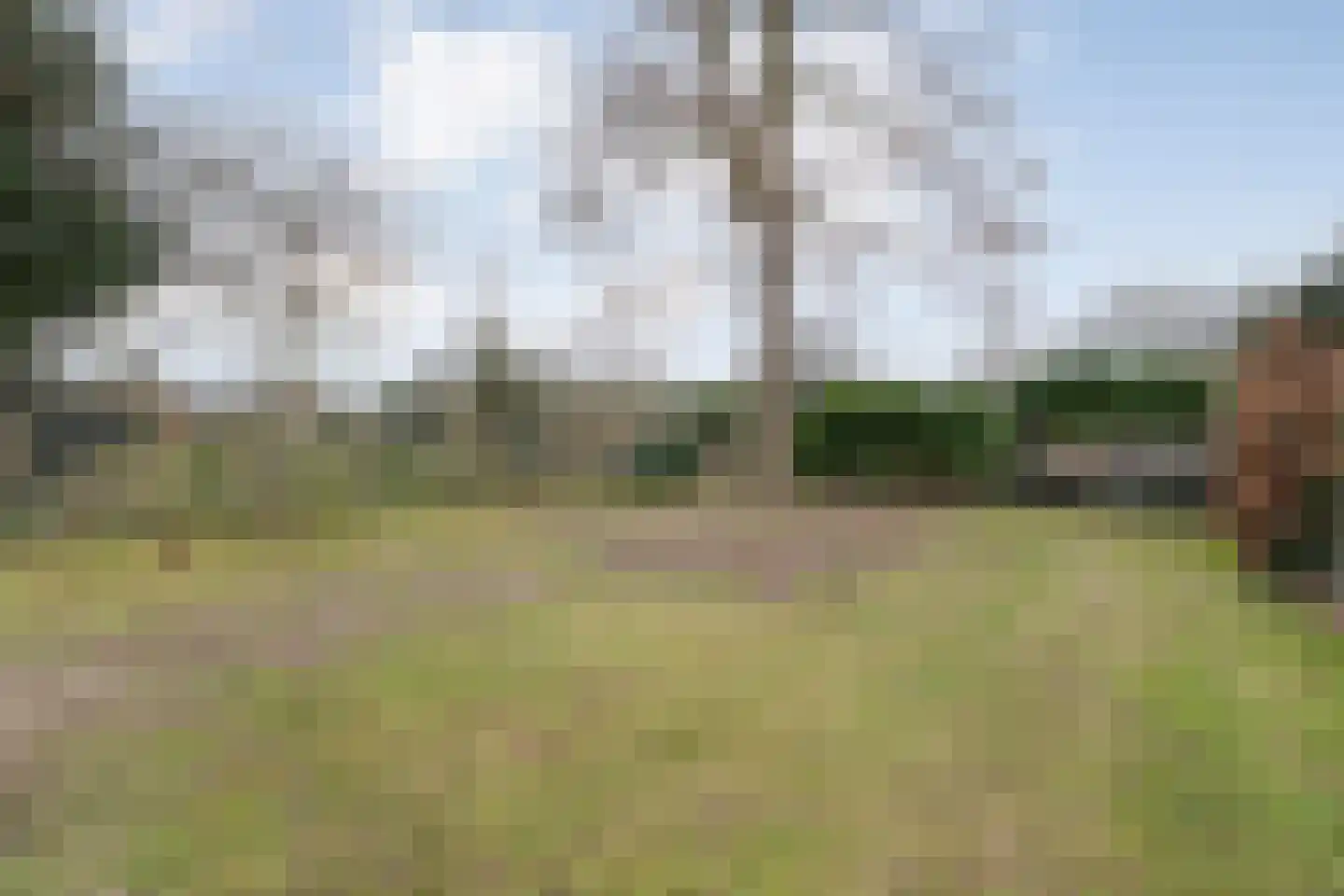 Rijssensestraat 96 Wierden thumbnail 51