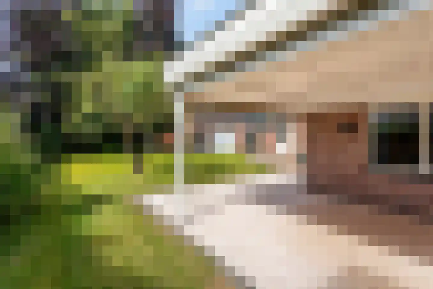 Rijssensestraat 98 Nijverdal thumbnail 13