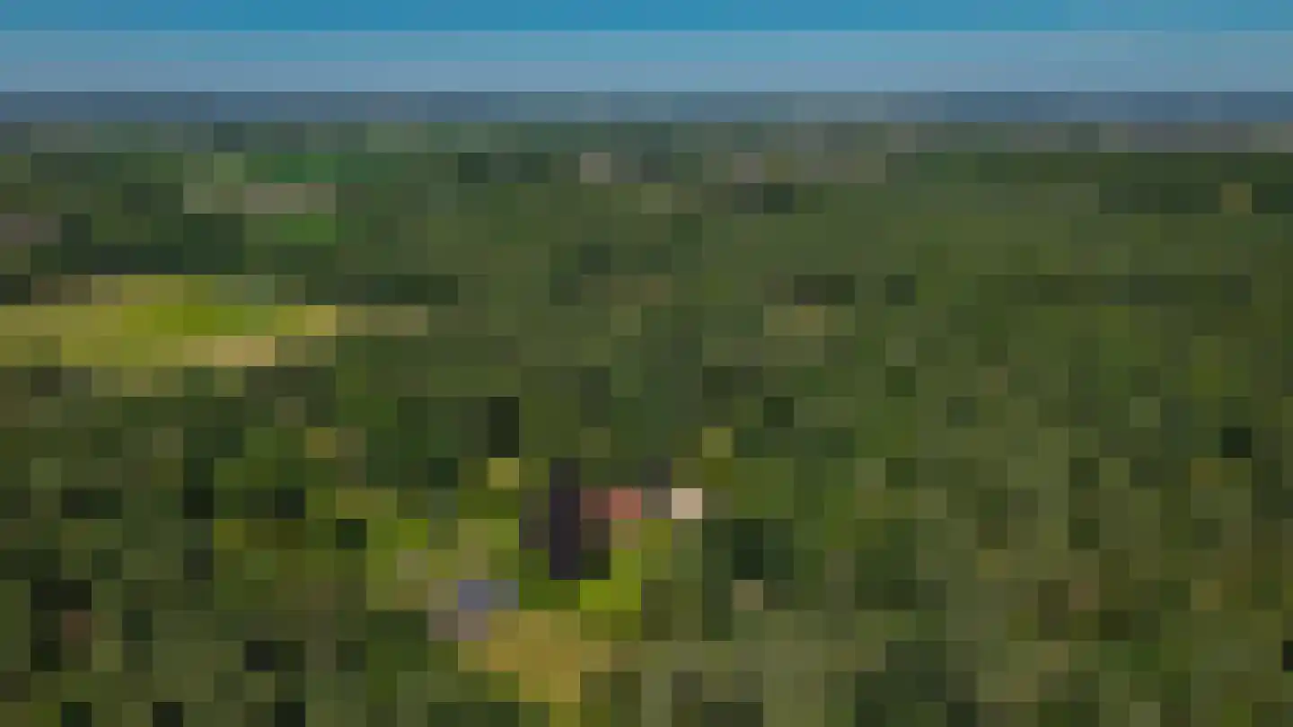 Rijssenseveld 7 Rijssen foto 2