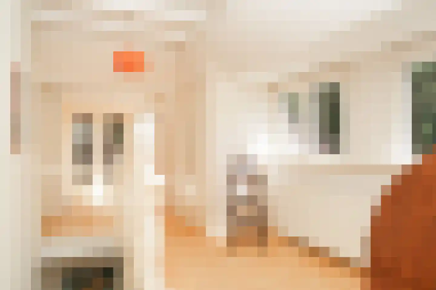 Rijssenseveld 7 Rijssen thumbnail 26