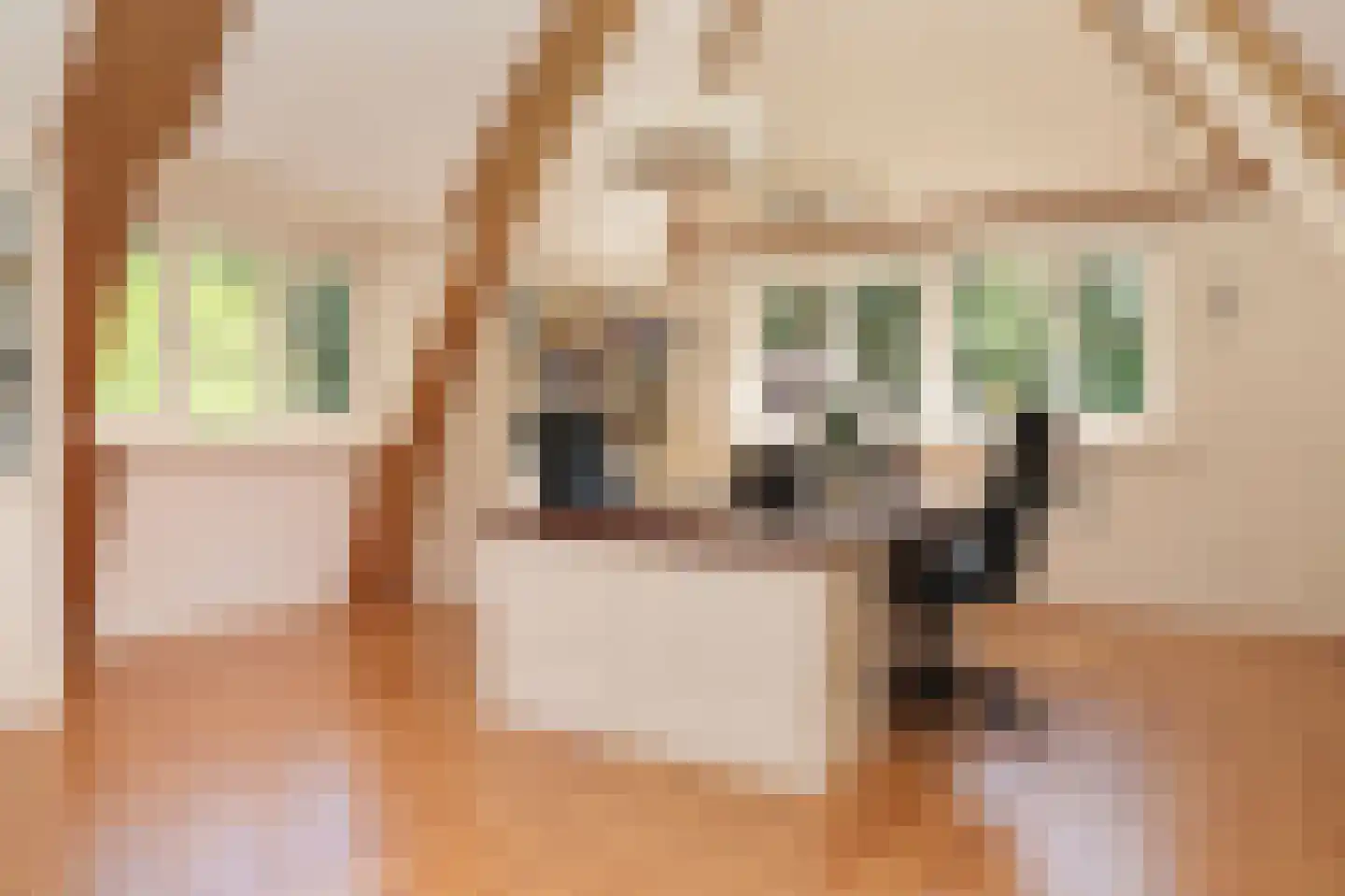 Rijssenseveld 7 Rijssen thumbnail 29
