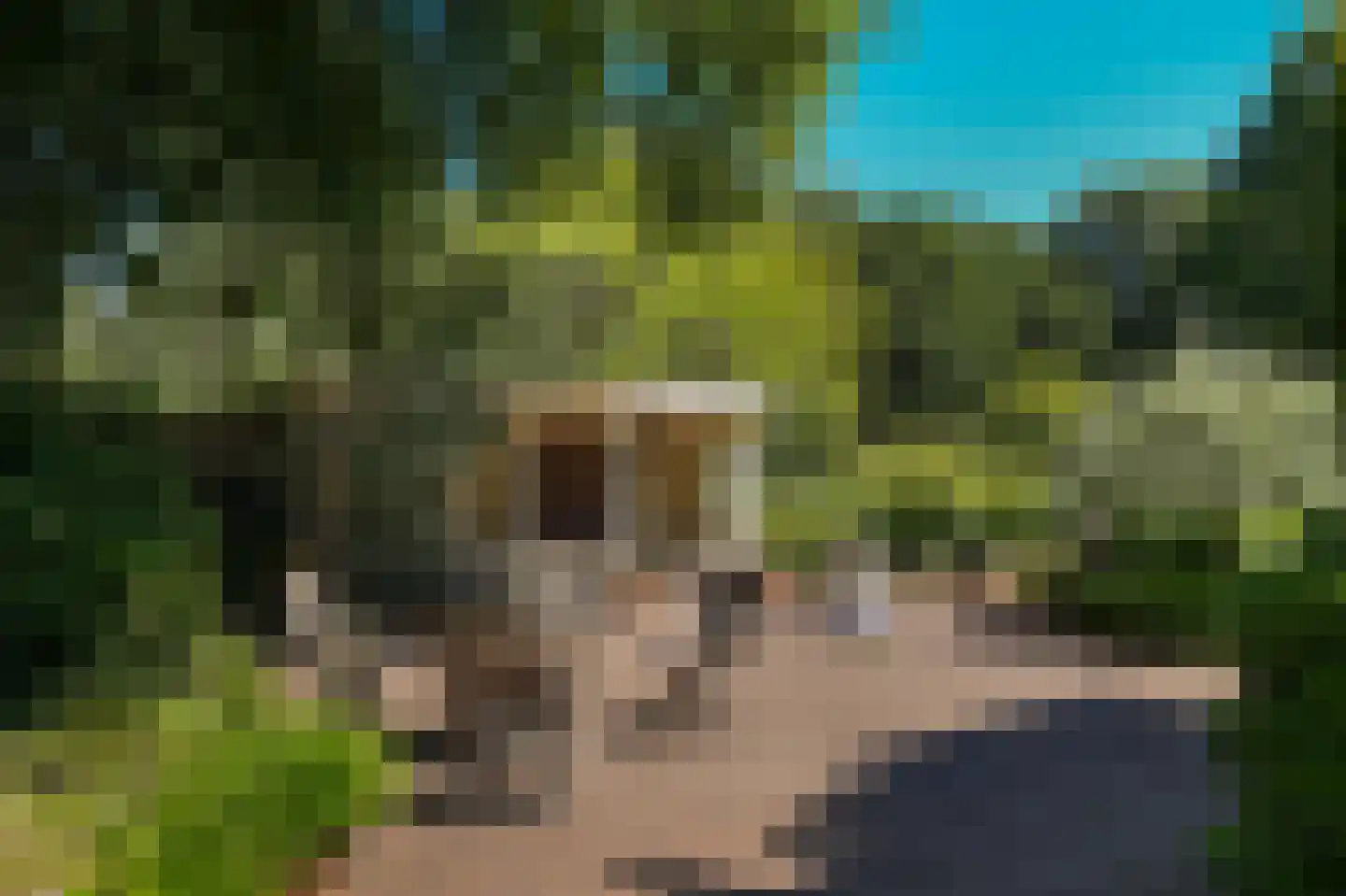 Rijssenseveld 7 Rijssen thumbnail 34
