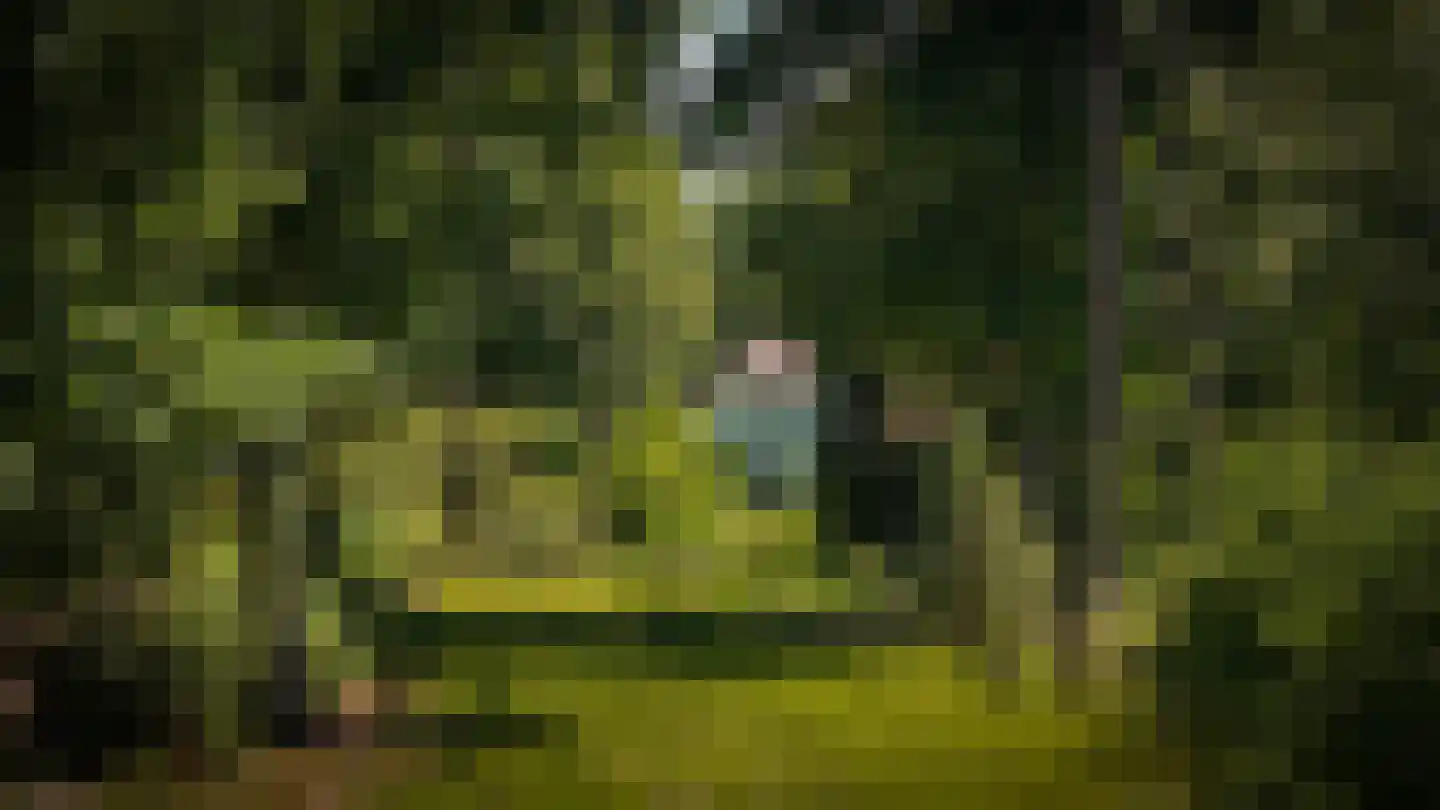 Rijssenseveld 7 Rijssen thumbnail 43