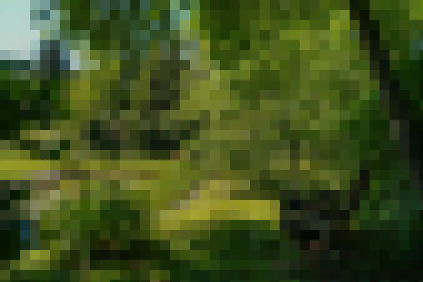 Rijssenseveld 7 Rijssen thumbnail 45