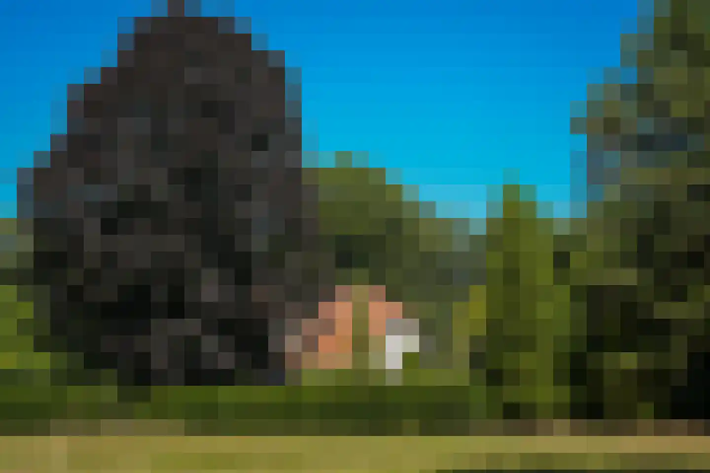 Rijssenseveld 7 Rijssen thumbnail 52