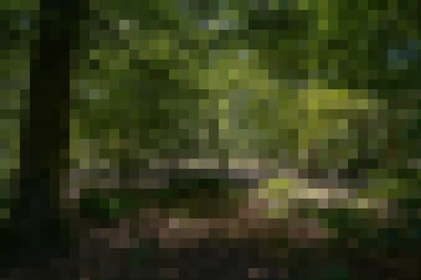Rijssenseveld 7 Rijssen thumbnail 54