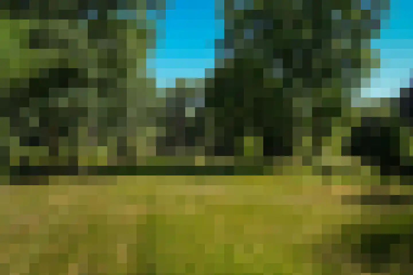 Rijssenseveld 7 Rijssen thumbnail 55