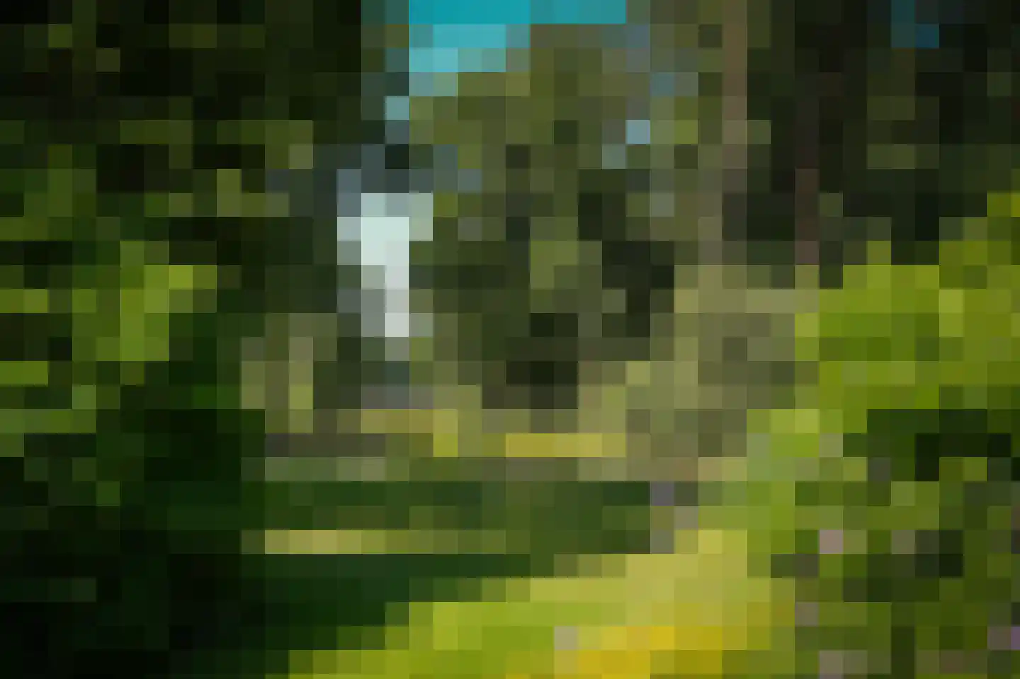 Rijssenseveld 7 Rijssen thumbnail 59