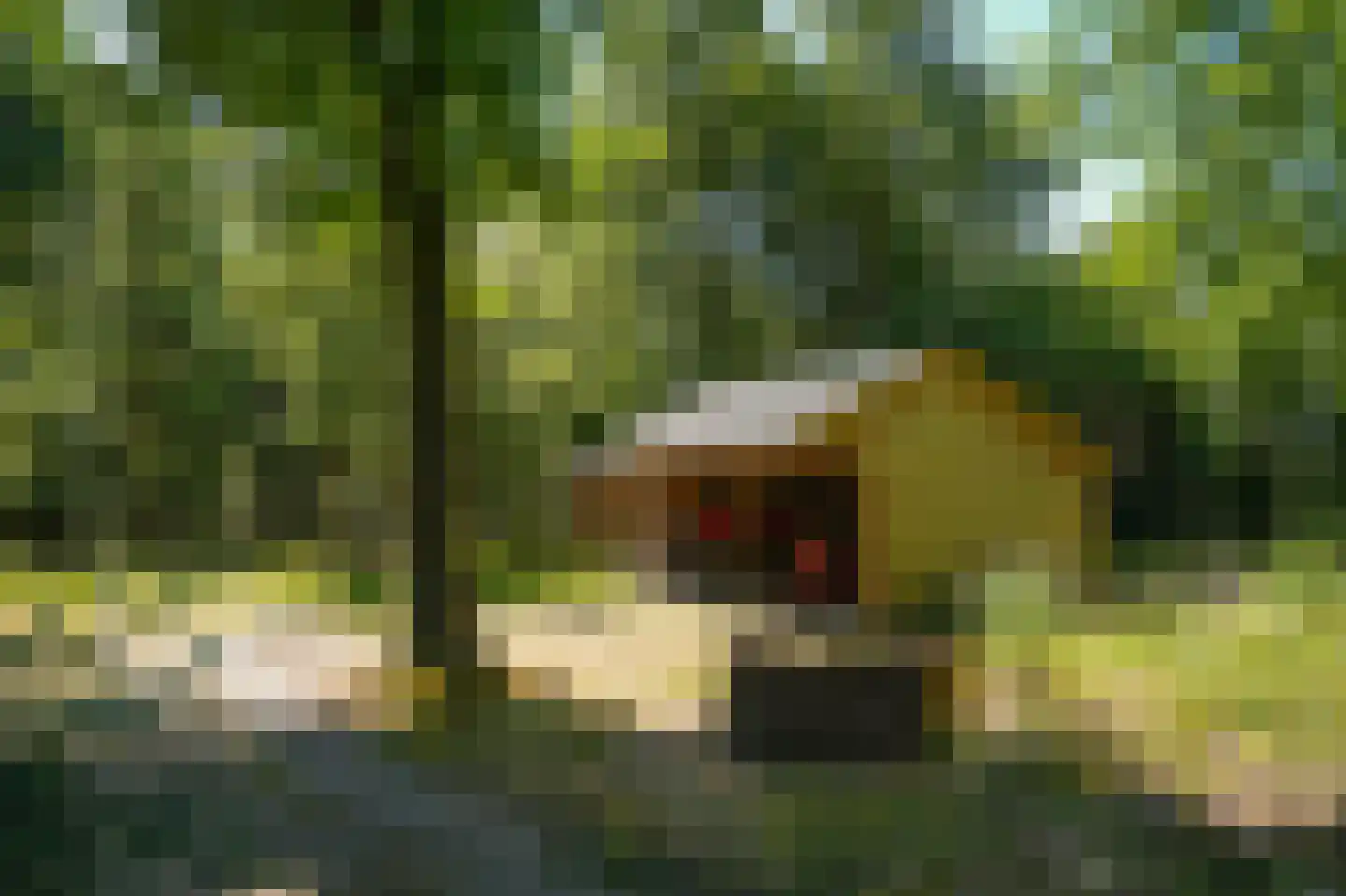 Rijssenseveld 7 Rijssen thumbnail 62
