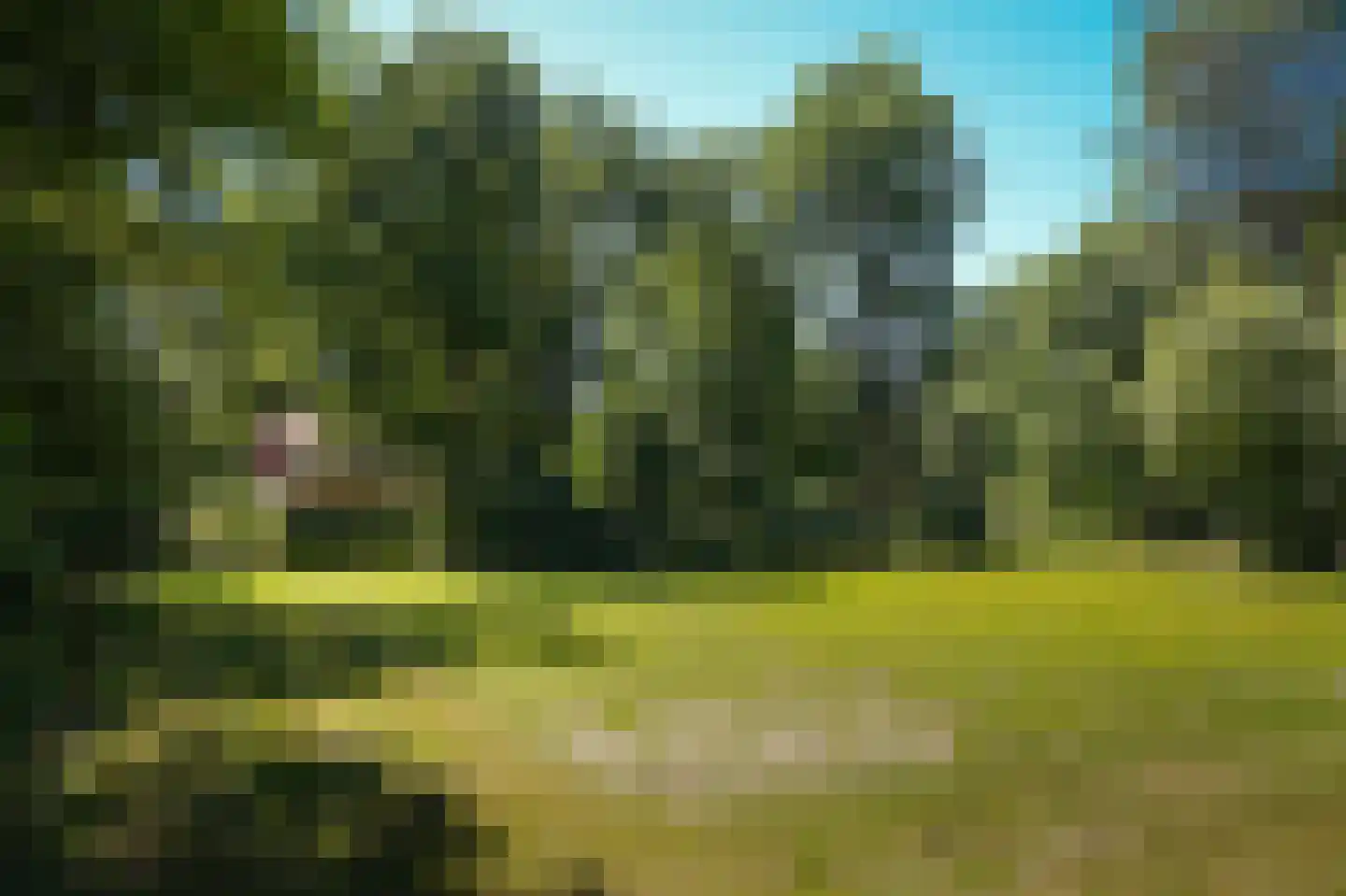Rijssenseveld 7 Rijssen thumbnail 65