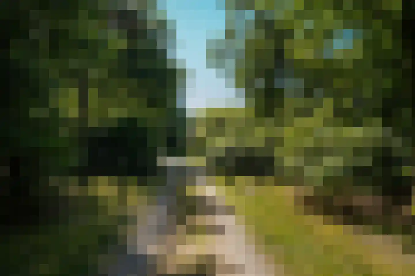 Rijssenseveld 7 Rijssen thumbnail 66