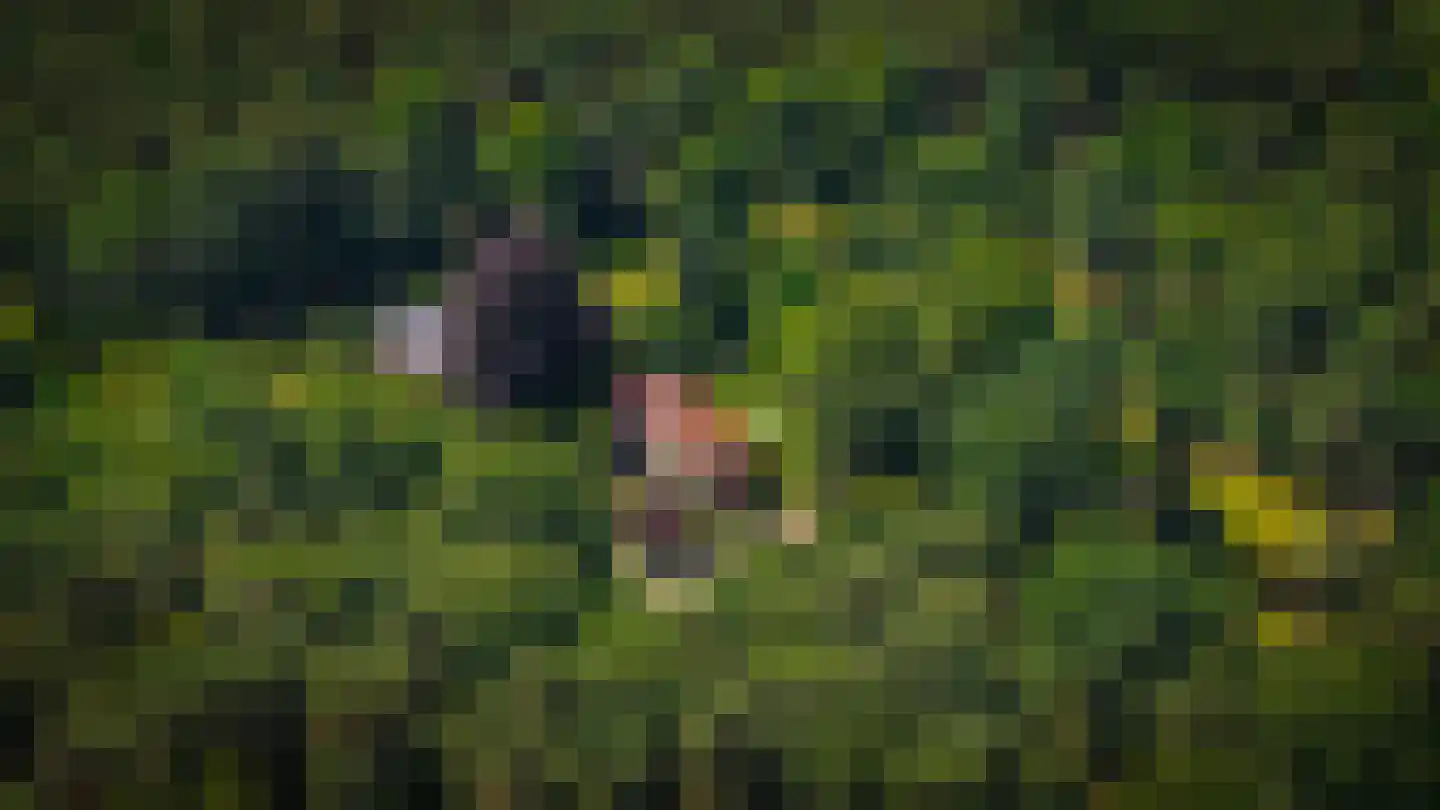 Rijssenseveld 7 Rijssen thumbnail 68