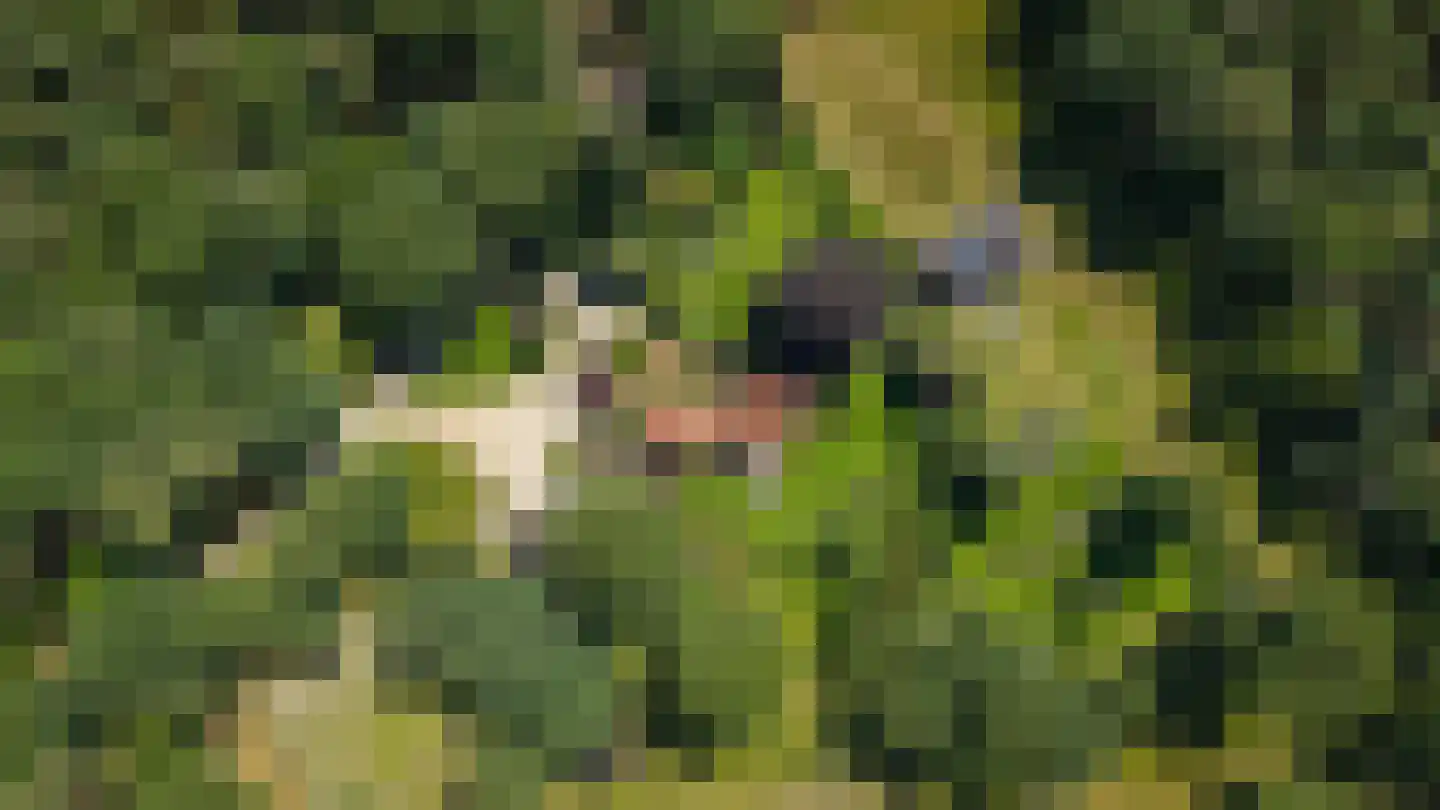 Rijssenseveld 7 Rijssen thumbnail 69