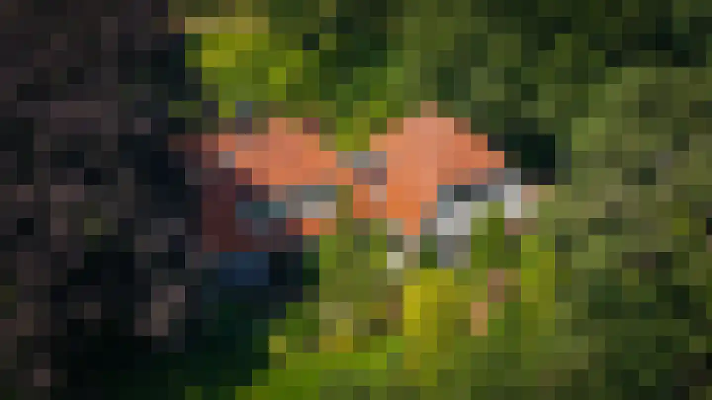 Rijssenseveld 7 Rijssen thumbnail 70
