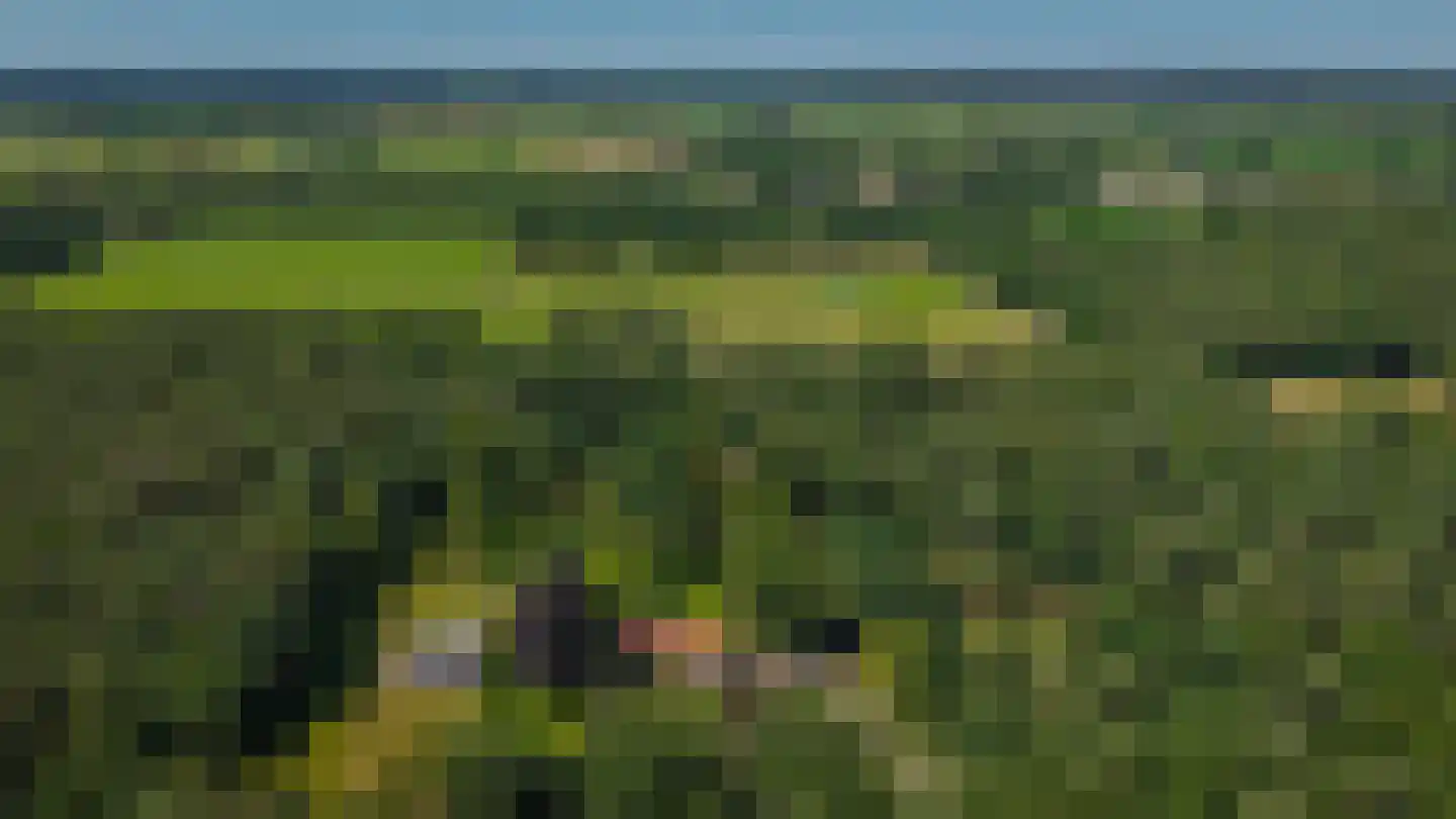 Rijssenseveld 7 Rijssen thumbnail 71
