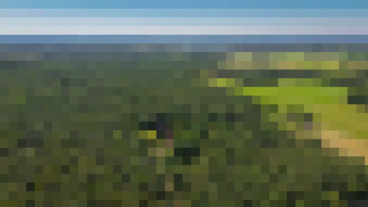 Rijssenseveld 7 Rijssen thumbnail 72