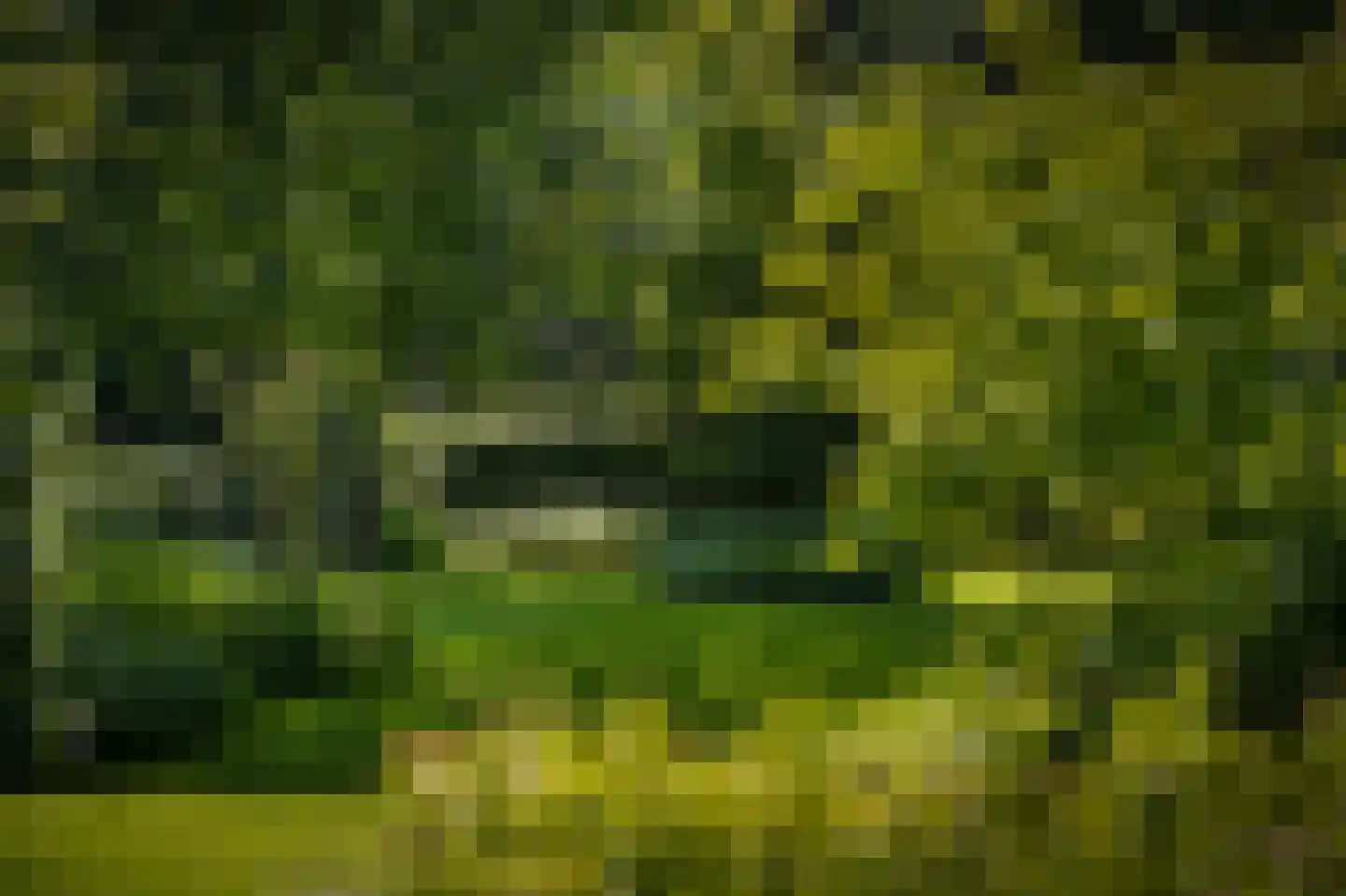 Rijssenseveld 7 Rijssen thumbnail 74