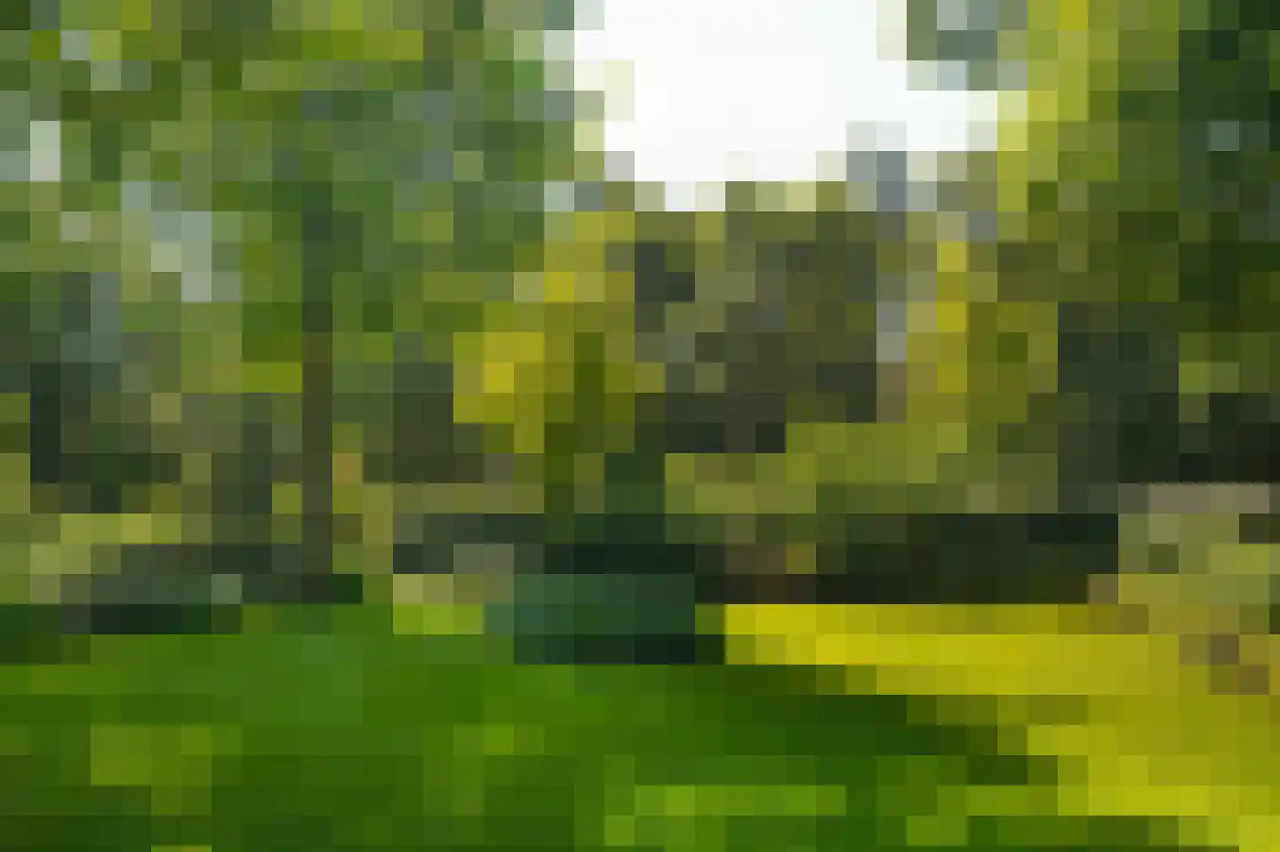 Rijssenseveld 7 Rijssen thumbnail 75